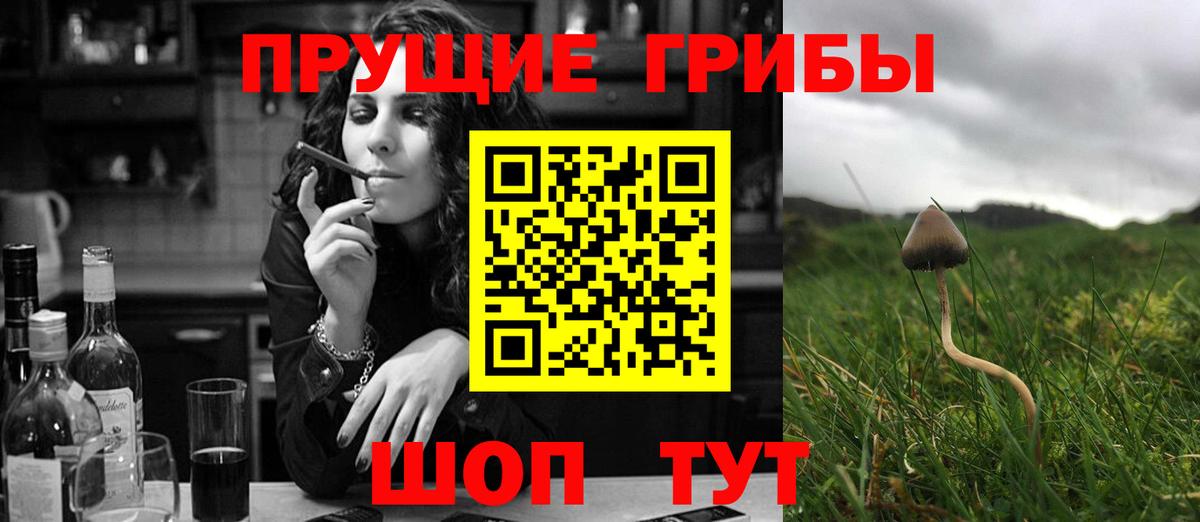 Углич  Галлюциногенные грибы мухоморы  Вход с VPN 