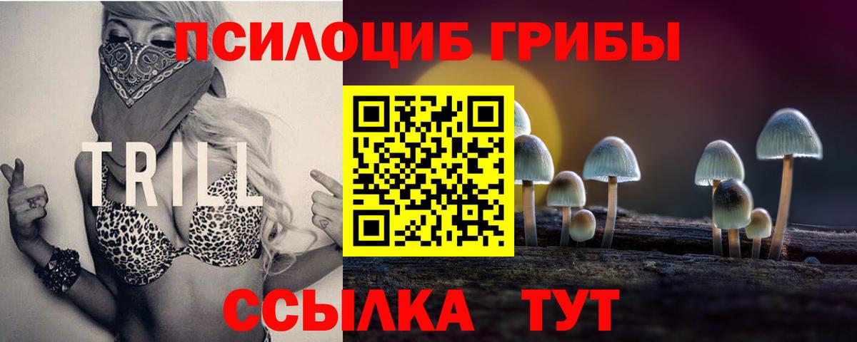 Псилоцибиновые грибы ЛСД Углич